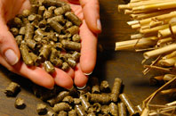 free Friendly biomass boiler quotes